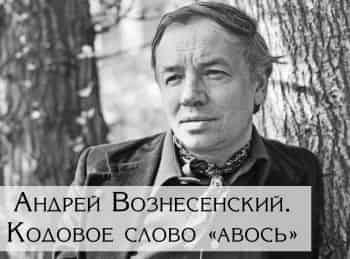 программа Центральное телевидение: Андрей Вознесенский Кодовое слово авось