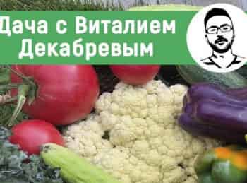 Дача-с-Виталием-Декабревым-Подготовка-к-новому-сезону-Ноябрь