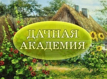 программа Загородная жизнь: Дачная академия Черновая разметка,начало работ с дорожками,пересадка растений