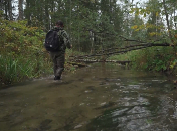 программа Охотник и рыболов: Дикий ручей Среди завалов и бобровых плотин