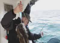 Глубоководная-рыбалка-в-норвежских-фьордах