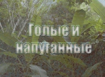 Голые-и-напуганные-Неожиданность