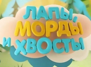 Лапы,-морды-и-хвосты-Дикобраз