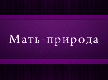 программа Психология 21: Мать природа Эпизод 5 й