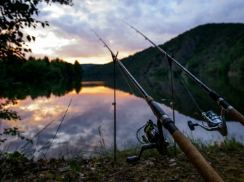 Мужские-выходные-Рыбалка-Маленькие-гиганты-деревенской-рыбалки:-крупный-ротан-и-гольян-на-зимнюю-удочку-Курганская-область