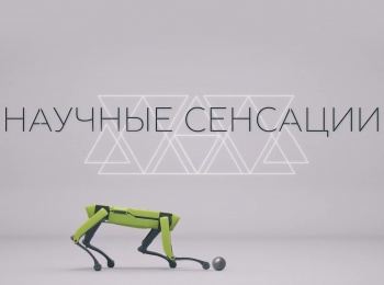 Научные-сенсации-Искусственный-интеллект