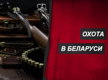 программа Охота: Охота в Беларуси Загонная зимняя охота