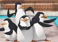 программа 2х2: Пингвины из Мадагаскара Пингвидитель забирает все