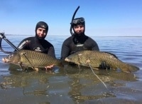 программа Охота: Подводная жизнь дельты Волги 5 серия