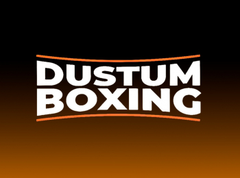 Профессиональный-бокс-Dustum-Boxing