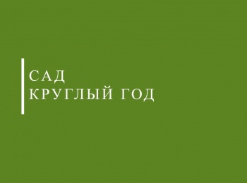 программа Загородная жизнь: Сад круглый год Системы полива, новые насадки