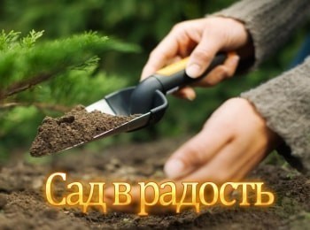 программа Усадьба: Сад в радость 12 серия