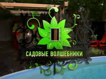 Садовые-волшебники