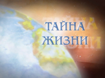 программа Три Ангела: Тайна жизни Экологические заповеди в Библии