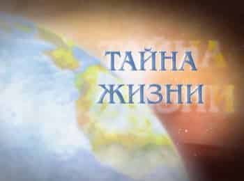 программа Надежда: Тайна жизни Можно ли доказать существование души?