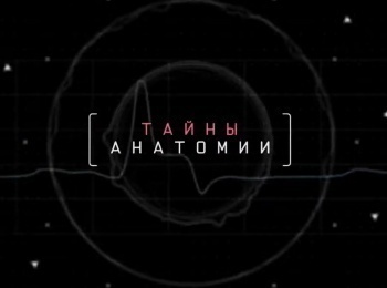 Тайны-анатомии-Иммунная-система