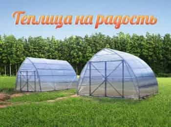 программа Загородная жизнь: Теплица на радость Готовим теплицу к новому сезону