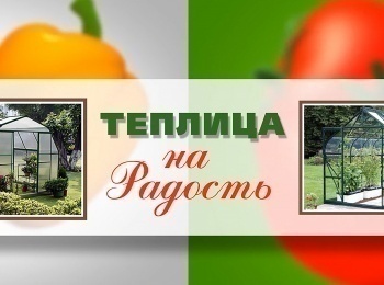 программа Загородная жизнь: Теплица на радость Установка капельного полива в теплицу