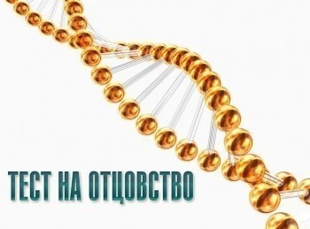 программа Домашний: Тест на отцовство 302 серия