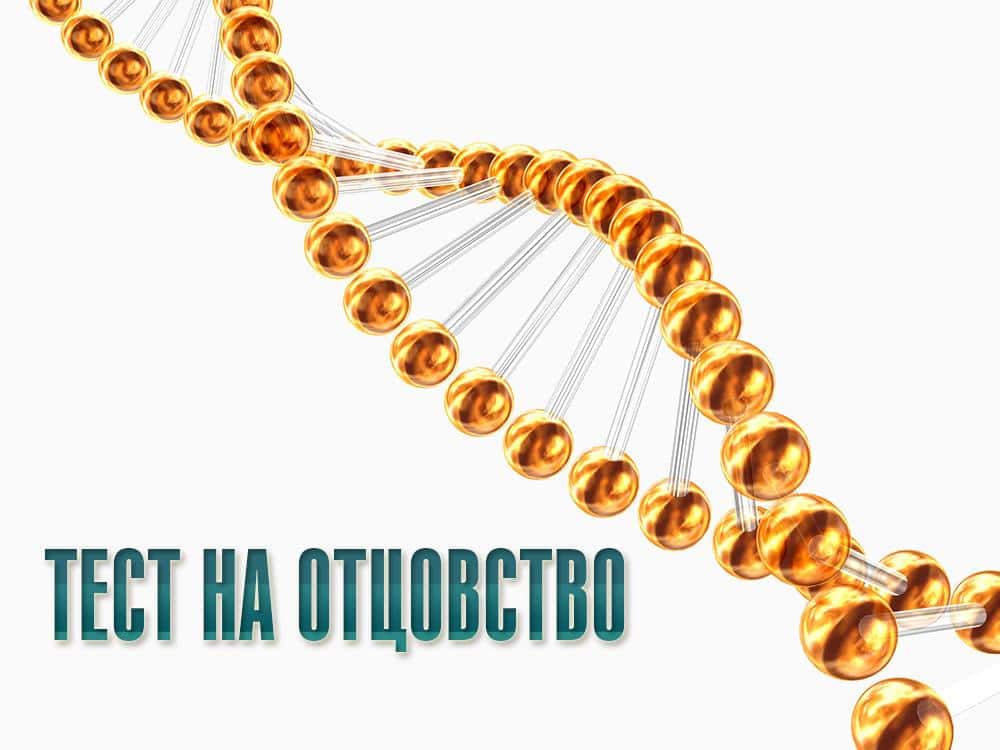 программа Домашний: Тест на отцовство 311 серия