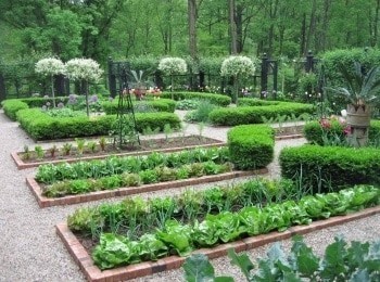 программа Загородная жизнь: Ваше хозяйство Чистый дачный туалет