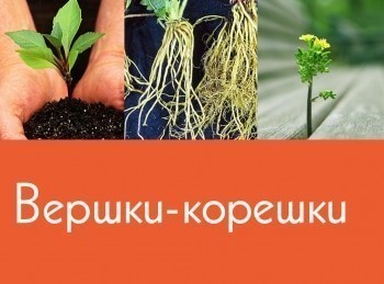 программа Усадьба: Вершки корешки 31 серия