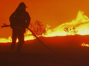 программа National Geographic: Возрождение Парадайса