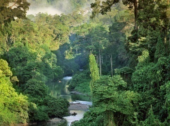 Жизнь-в-джунглях-Малайзия-36-серия