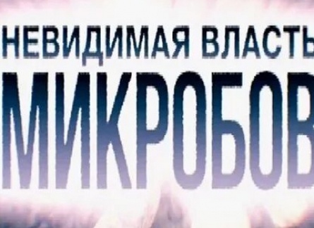 Невидимая власть микробов кадры